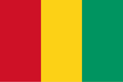 Guinea Flag