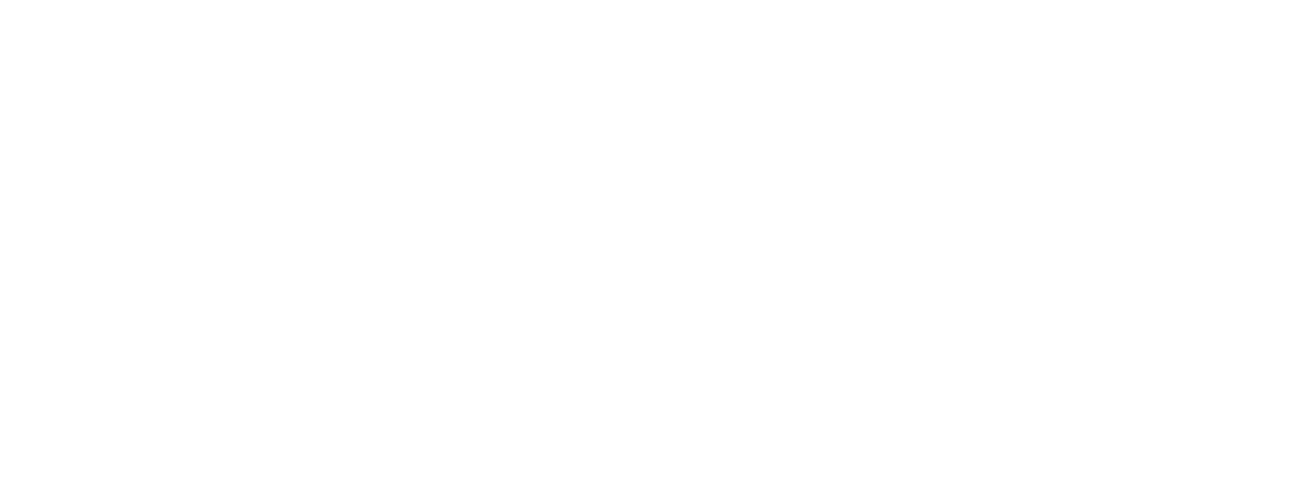 Lithium Africa Logo White